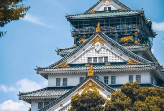 日本京都+奈良+清水寺一日游/行程可调-可定制多日【包车一日游，解锁旅行新方式！独立车辆配备经验丰富的老司机，为您量身打造专属行程。】