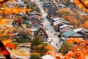 名古屋白川乡合掌村&高山古街红叶秘境之旅一日游【漫步高山古街，红叶点缀江户风情，时光缓缓流淌】