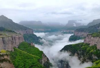 王莽岭-锡崖沟 一日游【亲身乘车穿越锡崖沟村民耗时30年手工开凿的挂壁公路，在悬崖峭壁的“窗口”中穿行，深刻体会其惊险】