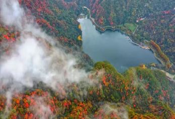 【成人赠送中餐+秦岭赏秋】西安翠华山世界地质公园一日游【[美食体验]成人赠送特色中餐[夏天凉皮，冬日酸辣粉]】