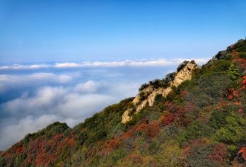 西安徒步经典路线-秦岭秘境嘉午台-一览原始美丽的秦岭【登顶“小华山”领略秦岭险峻！小白必打卡】