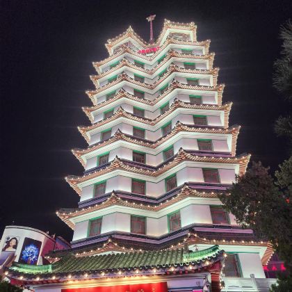 河南濮阳濮水小镇+中原绿色庄园+戚城考古遗址一日游可英文服务