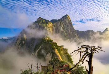 一对一【英文导游陪爬】华山专属一日游（含门票索道，专车接送）【[深度陪伴]英文导游一对一陪爬，安全与乐趣双重保障】