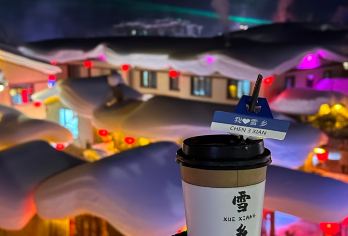 中国雪乡直通车【可选哈尔滨中央大街出发-多班次-不早起】【[品质保障]专享路线疑惑，客服在线解答。】