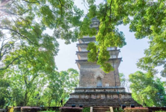 乐山大佛【蜀人说1.5小时专业讲解|含门票 无线耳麦】半日游【导游全程陪同，深度讲解“佛中有佛”奇观与唐代造像技艺】