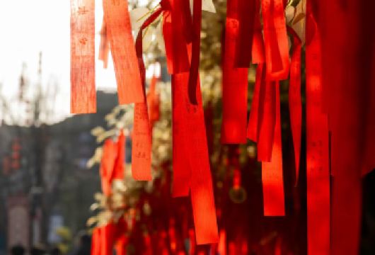 秦岭四宝科学公园+赵公明财神祖庙+烟火巷子包车一日游【烟火巷子建筑风格优雅大气，多场大小演出，NPC互动，每一处都可拍出美美的照片。】