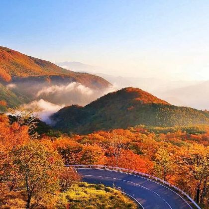 东京日光世界遗产巡礼|东照宫+中禅寺湖+华严瀑布一日游