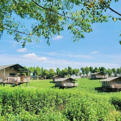 中国春秋淹城旅游区·淹城野生动物世界专车接送·私家小团一日游