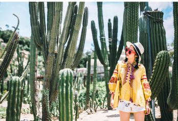 厦门园林植物园【人工讲解丨可选场次 时长】【[时长保障] 不会「水」时长，每一场讲解确保都足料足质。】