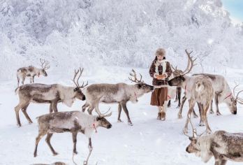 亚布力滑雪一日游（亚布力滑雪、马拉爬犁、缆车滑道、驯鹿部落【坐缆车上天空之境体验世界第一滑道】