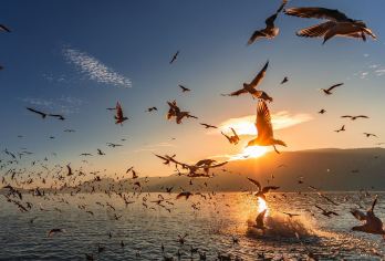 云南昆明南站/昆明站一日游 商务/康养/家庭多地定制包车游%【环游世界[畅游90+国家地区，900+城市]】