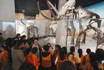 【亲子研学】国家自然博物馆时空穿越—寻找恐龙部落探索生命起源【[重返侏罗纪小分队]国家自然博物馆时空穿越】