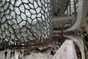 上海自然博物馆+四行仓库抗战纪念馆1日活动 室内场馆夏日亲子【15人以内精品小团‌：严格控制人数，全程佩戴耳麦，确保无噪音干扰，提升聆听清晰度与互动深度‌。】