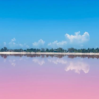 墨西哥坎昆粉红湖+火烈鸟+坎昆海滩【中文私家包车+咨询优惠】