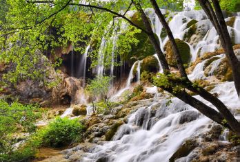 从九寨沟县出发：九寨沟包车一日游【摄影专线，小众秘境打卡】