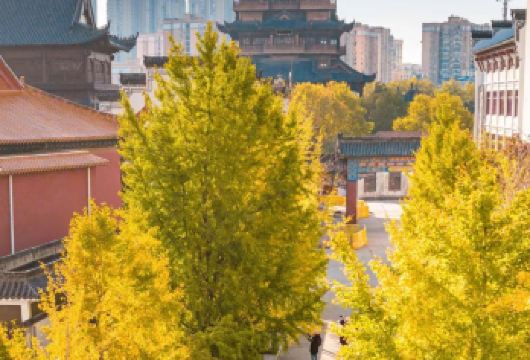 知音武汉【古琴台-晴川阁-归元禅寺-山海关-黎黄陂路】【工作人员全程跟随】