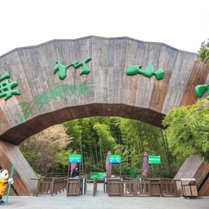 上海·苏州·杭州·乌镇·常州市区至天目湖南山竹海单程包车
