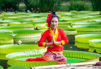 【深度游】中国科学院西双版纳热带植物园纯玩一日游丨金牌导游【[优选看点]优选西双版纳榜首网红景区，国家5A景区、西区东区绿石林深度体验。】
