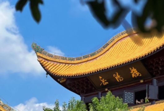 岳阳楼一日游【乐游岳阳：探寻屈子文化、品读岳阳楼、望洞庭湖、资深导游带您认识历史中的岳阳】