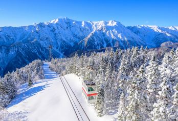 西岭雪山景区一日游【纯包车+冬季赏雪滑雪圣地+三环内接送】【[放心游玩]真纯玩，亲身体验“春赏杜鹃夏避暑，秋观红叶冬滑雪”美景】