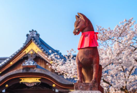 京都伏见稻荷大社+清水寺一日游【漫步清水寺，聆听风拂竹叶的天籁之音】