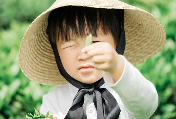 梅家坞茶文化研学茶农亲子一日营【采茶+古法炒茶+茶包DIY】【现场教学采茶/炒茶，触摸非遗技艺】