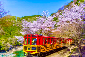 日本岚山&奈良公园&伏见稻荷大社&渡月桥一日游-大阪出发【与奈良的萌鹿亲密互动，体验喂食的乐趣，留下与温顺亲人的萌鹿的珍贵合影】