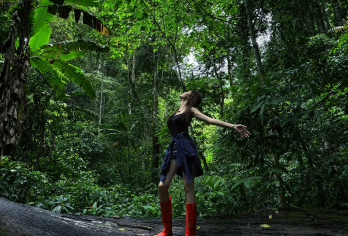 基诺山寨+基诺山雨林徒步一日游【徒步赠证书·纯玩·体验民俗】【[缤纷景点]看基诺族民族文化，了解最后一个民族的历史变迁~】