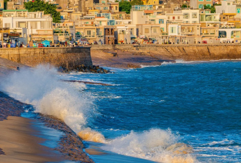 漳州东山岛+鱼排+苏峰山+南门湾+双面海小鱼骨沙洲一日游【[纯玩无购物]提供上门接送，领队全程陪伴，专注品质服务的本地旅行社，天天发团，出行无忧，安心享受。】