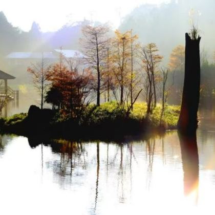 宜兰三味旅程～兰阳博物馆+张美阿嬷农场+伯朗咖啡城堡一日游