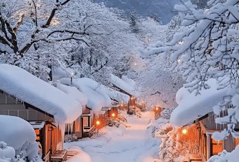 亚布力滑雪+中国雪乡+大秃顶子山【包车自由行，纯玩无套路】【亚布力西站或度假区酒店可专车接送，根据人数调整车型】