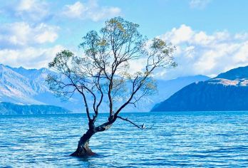 新西兰皇后镇包车一日游：瓦纳卡漫游+水果小镇采摘+箭镇寻踪【无需为交通烦恼，舒适专车全程接送，行程灵活自由，随心掌控游览节奏，】