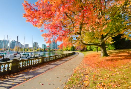 加拿大广场+卡皮拉诺吊桥公园+史丹利公园经典市区一日游【[温馨提示]您太机智了！居然注意到这！我们为您准备了一些贴心建议和重要提示，不要错过哦！】