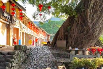 『野趣·奔赴山野』榕水瑶-鱼鳞堤坝-嵩口古镇-月洲村-状元桥【『榕水瑶』：青石路、老树下等待阳光穿过树枝，取景古榕成荫清流潺潺的自然美景】