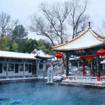 【清明下单优惠】趵突泉+大明湖+黑虎泉一日游