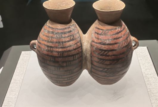 【寒假春节专属】河南博物院门票代预约+2小时资深人工讲解【1、精选优秀资深讲师，2小时历史人文深度解说，多场次可选。】