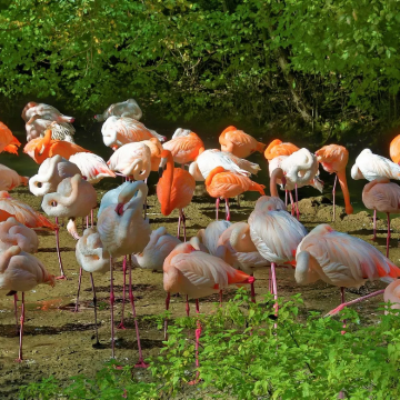 【慕尼黑亲子定制】海拉布伦动物园+宁芬堡宫+慕尼黑新市政厅