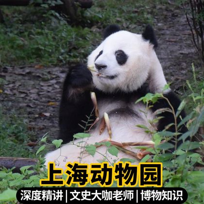 中国上海上海动物园一日游