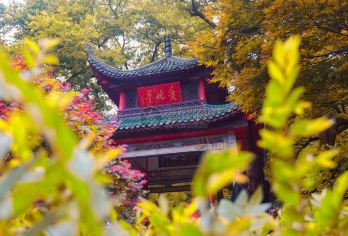 岳麓书院半日游【精品游丨深层次丨精华90分钟丨含门票代预约【我们致力于打造湖南本土的专业景点讲解，推出公司湘伴湘游的系列产品。给您讲解千年学府-岳麓书院的故事】