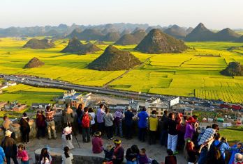 云南罗平油菜花景区+九龙瀑布群一日游 康养/度假定制包车游%【环游世界[畅游90+国家地区，900+城市]】