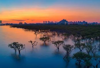 广西北海|老街+金海湾红树林生态旅游区+银滩国家旅游度假区【VIP小团服务，行程定制】