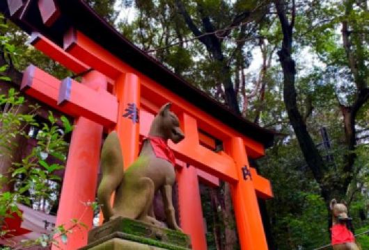 日本京都-琉璃光院-三千院-贵船神社-红叶满天 京都巡礼。【专业行程定制，精选热门景点，高效游玩不走回头路，贴心服务保障，轻松】