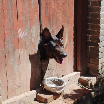 【2-6人小团】佛光寺+南禅寺+洪福寺+延庆寺+广济寺1日游