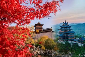 【万卷说·私家团·人工讲解】江苏园博园 CityWalk【[签约讲师]持有国家导游证\讲解证，一线工作经验10年以上，有责任心，能根据听众的兴趣，灵活讲解。】