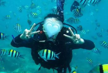 亚龙湾远海珊瑚礁潜水+摩托艇+香蕉船【飞伞拖伞多种项目可选】【零基础可玩 不需要会游泳，全国唯美的潜水极地，水下珊瑚丰富】