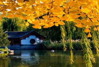 避暑山庄+普宁寺一日游【纯玩无购物+门票全含+多套餐可选】【丰富玩乐： 精选线路游承德 行程覆盖全，必选网红打卡景点一个不少】