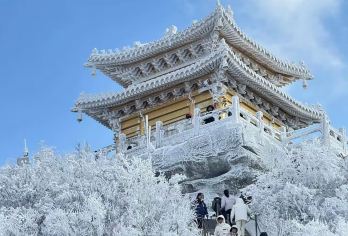 老君山一日游◆私家团/独立用车/独立导游/上门接送/纯玩舒适【[福利保障]洛阳市主城区上门接送，一单一团，一天12小时专属用车时长，宽松畅玩老君山.】