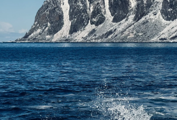 邂逅“世界尽头”的宁静：挪威塞尼亚岛包车一日游|特罗姆瑟往返【全程包车服务，专业中文司机，行程可灵活调整，自由探索塞尼亚岛的壮丽峡湾、渔村与山峰。】