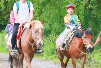 云南旅游拉市海一日游纯玩茶马古道湿地公园丽江千古情贵宾门票【亲子，家庭一日游互动】