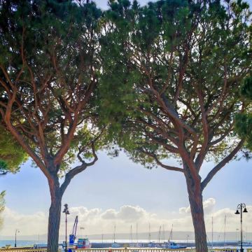 意大利罗马往返-天空之城+博尔塞纳湖一日游【中文｜市区接送】